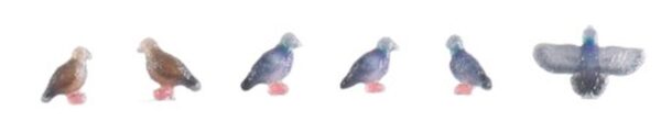 Set of 6 pigeons