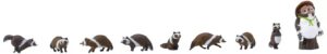 1/87 Raccoons
